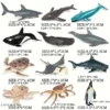 f82603e7-ac29-43b6-a354-d329e743924f.webp 24pcs OceanBreeze Mini Marine Animal Figurine Set